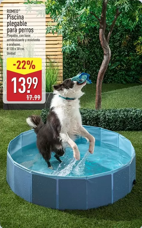 Romeo - Piscina Plegable Para Perros