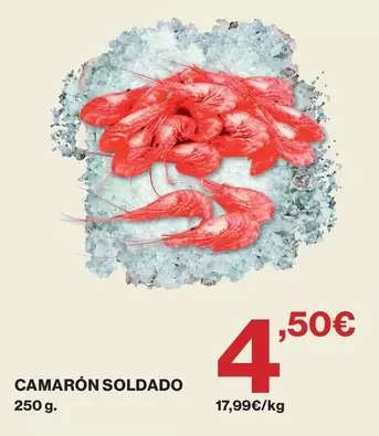 Camaron Soldado