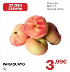 origen - Paraguayo