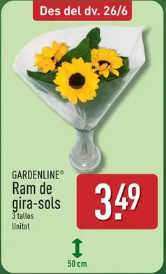 Ram De Gira-Sols
