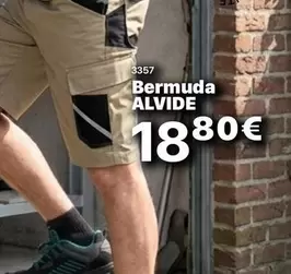 Bermuda Alvide