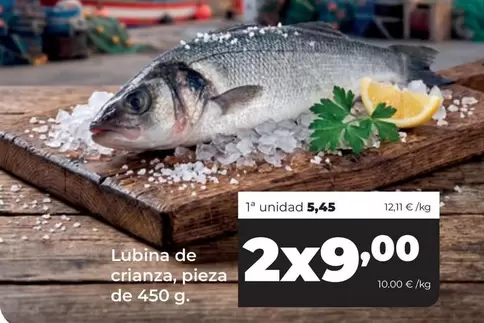Lubina De Crianza