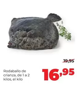 Alimerka - Rodaballo De Crianza