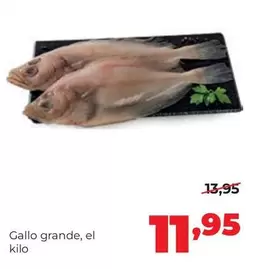Gallo Grande