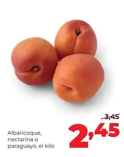 Alimerka - Albaricoque, Nectarina O Paraguayo