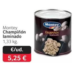 Montey - Champinon Laminado