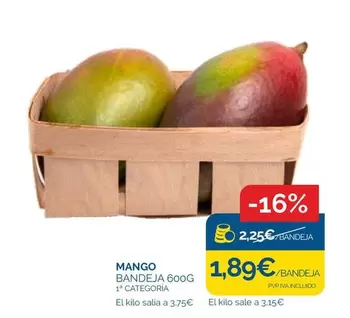 mango - Mango