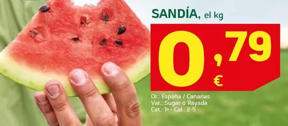 Sandía