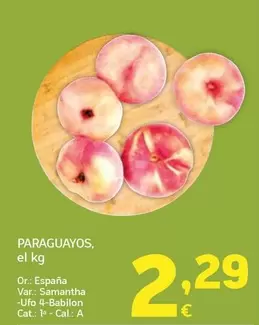 Paraguayos