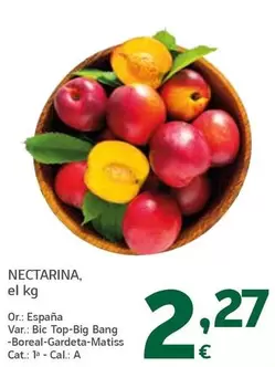 Nectarina