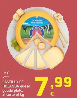 Castillo De Holanda - Queso Gouda Plato