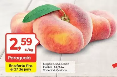 origen - En Oferta Fins El 27 De Juny