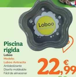 Loboo - Piscina Rigida 