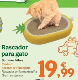 Summer Vibes - Rascador Para Gato 