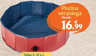 Summer Vibes - Piscina Veraniega 
