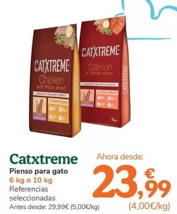 Catxtreme - Pienso Para Gato