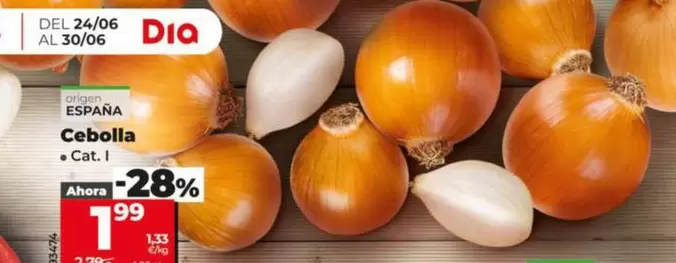 Cebolla
