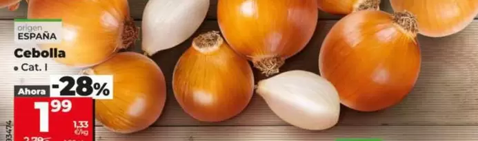 Cebolla