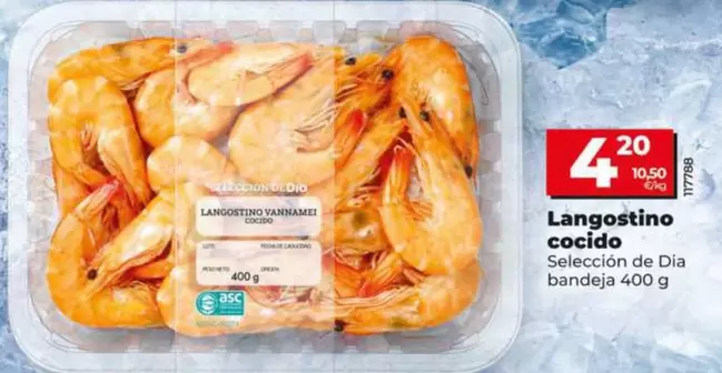 Seleccion De Dia - Langostino Cocido