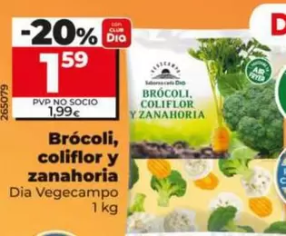 Dia Vegecampo - Brocoli, Coliflor Y Zanahoria 