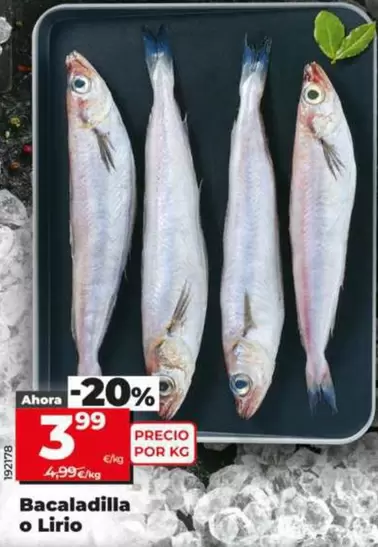 Bacaladilla O Lirio