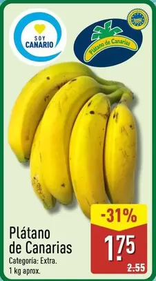 Platano De Canarias
