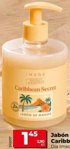 Dia Imaqe - Jabon De Manos Caribbean Secret 