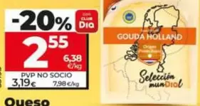 Dia Seleccion Mundial - Queso Gouda Holandes