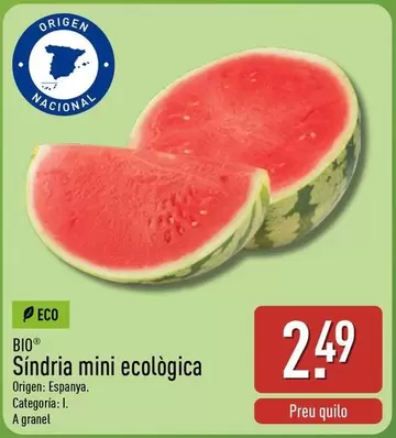 Síndria Mini Ecológica