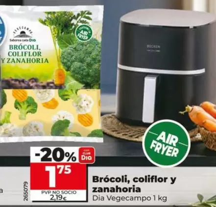 Dia Vegecampo - Brocoli, Coliflor Y Zanahoria 