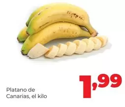 Platano De Canarias