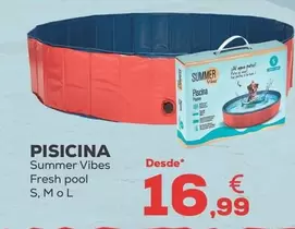 Summer Vibes - Pisicina Fresh Pool