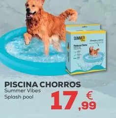Summer Vibes - Piscina Chorros Pool