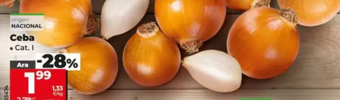 Cebolla