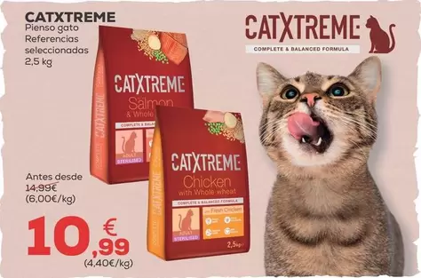 Catxtreme - Pienso Gato Referencias Seleccionadas