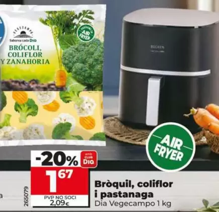 Dia Vegecampo - Brocoli, Coliflor Y Zanahoria