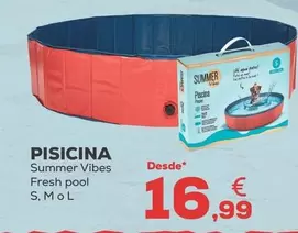Summer Vibes - Pisicina