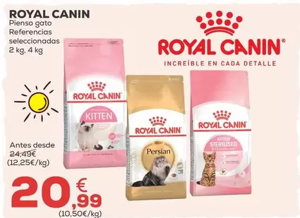 Royal Canin - Pienso Gato