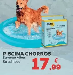 Summer Vibes - Piscina Chorros