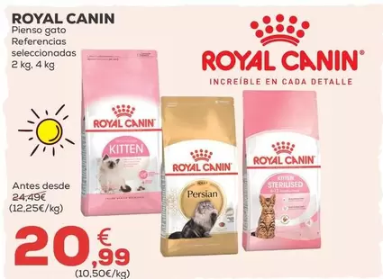Royal Canin - Pienso Gato
