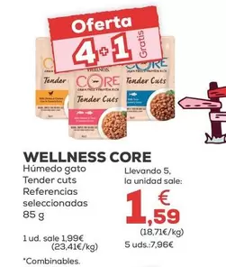 Wellness Core - Humedo Gato Tender Cuts