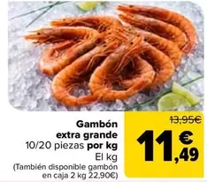 Gambon Extra Grande