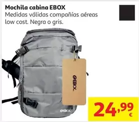 Mochila Ebox Portatil De Cabina Gris                        