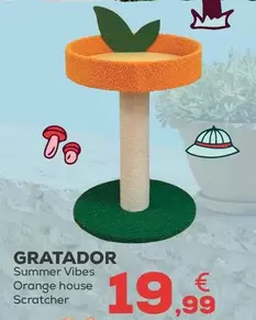 Summer Vibes - Rascador
