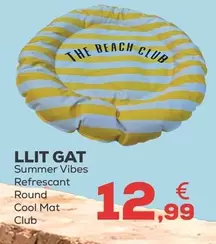 Summer Vibes - Cama Gato