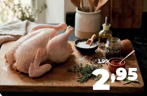 Pollo
