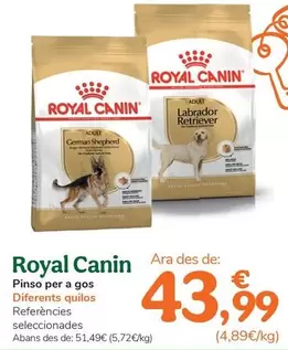 Royal Canin - Pienso Para Perro