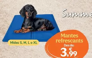Summer Vibes - Mantas Refrescantes