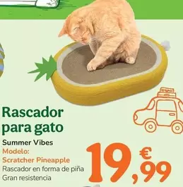Summer Vibes - Rascador Para Gato 
