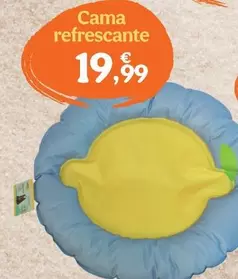 Summer Vibes - Cama Refrescante